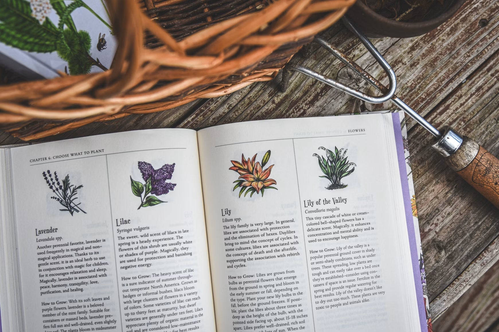 Open gardening reference book beside a hand cultivator