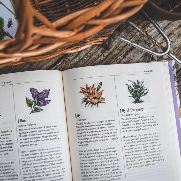 Open gardening reference book beside a hand cultivator