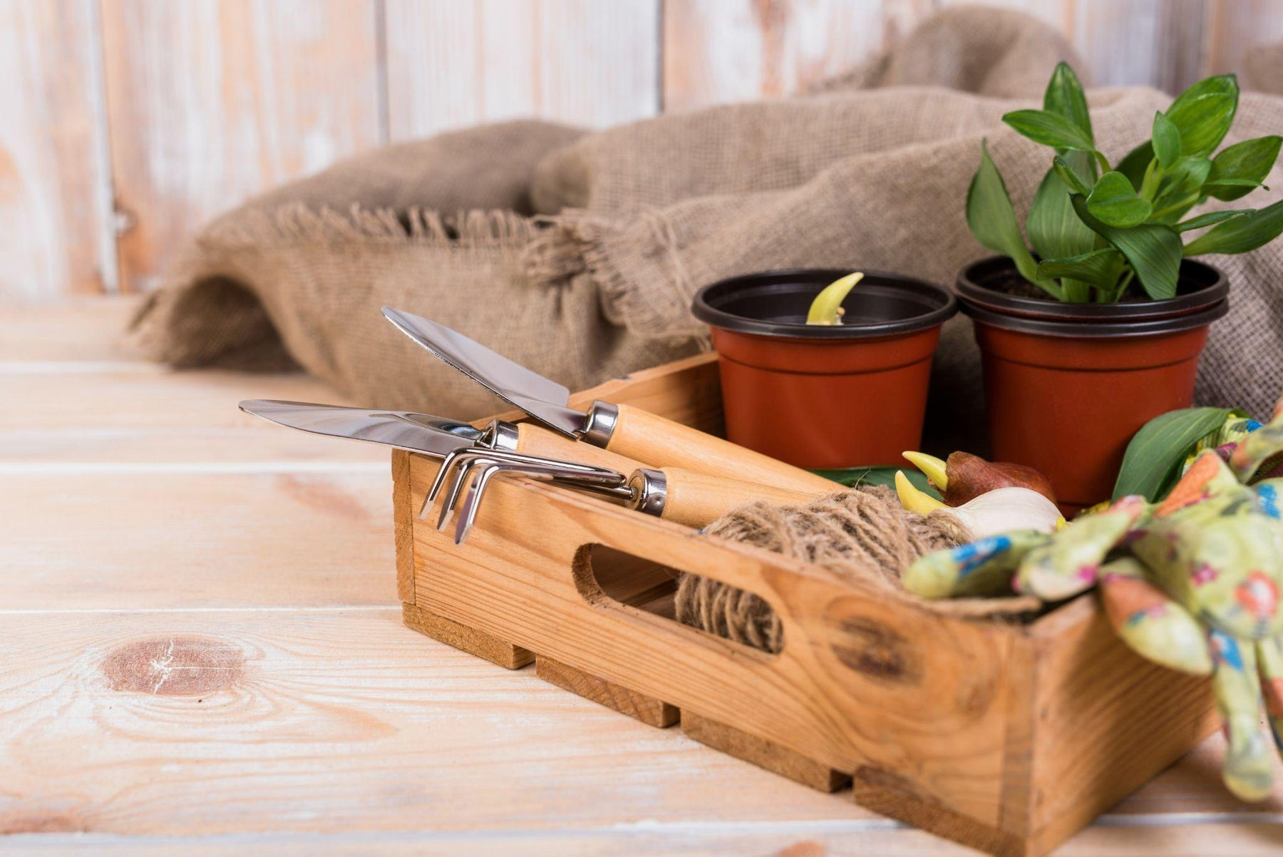 Gardening tools and potted plants packed for an apartment move