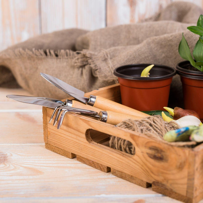 Gardening tools and potted plants packed for an apartment move