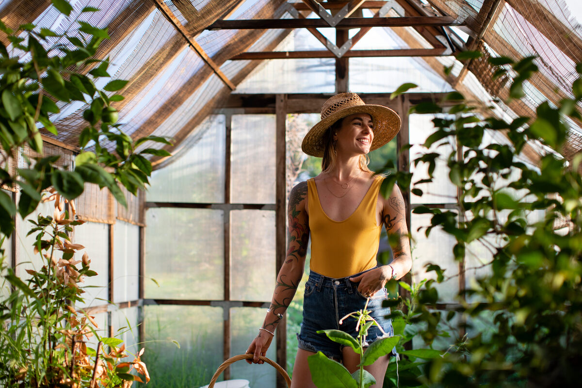 greenhouse dimensions