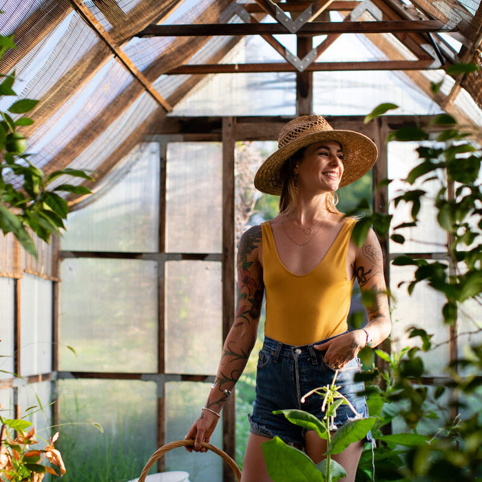 greenhouse dimensions