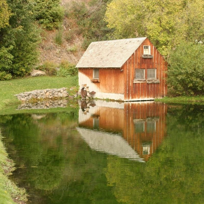 How to Start Making Money From Your Products as a Homesteader