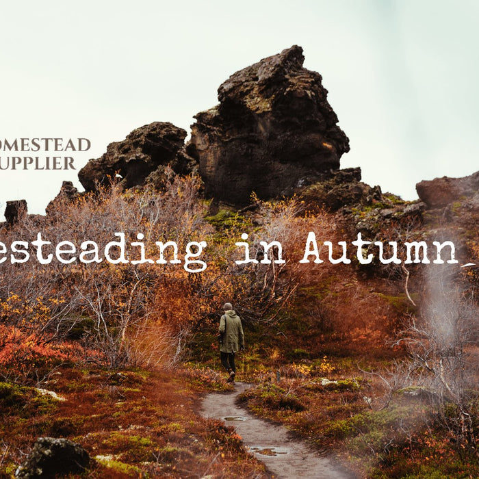 Homesteading in Autumn graphic over a rocky fall landscape
