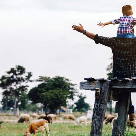 When to DIY and When to Call for Help on the Homestead