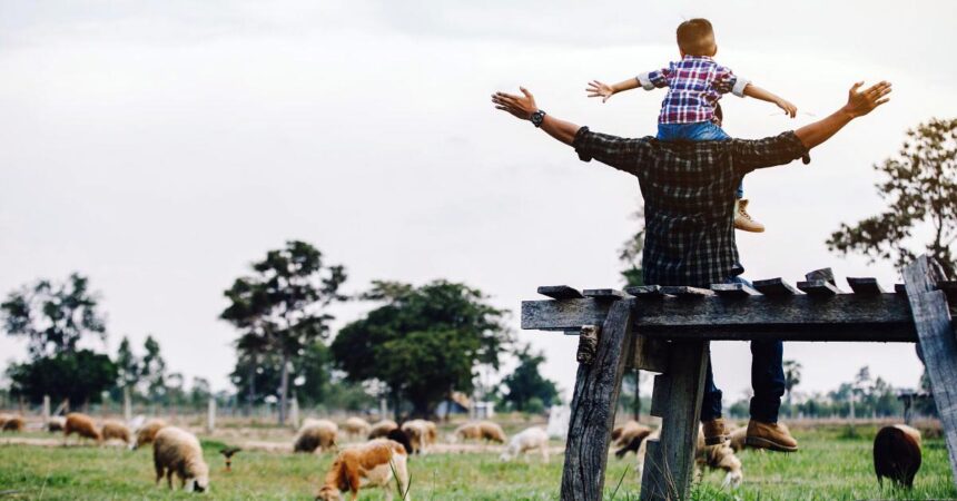 When to DIY and When to Call for Help on the Homestead
