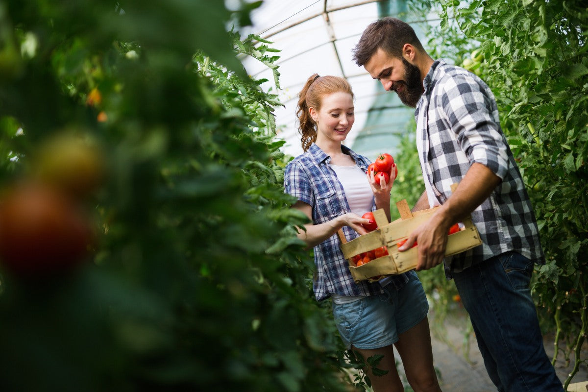 how big of a greenhouse to feed a family