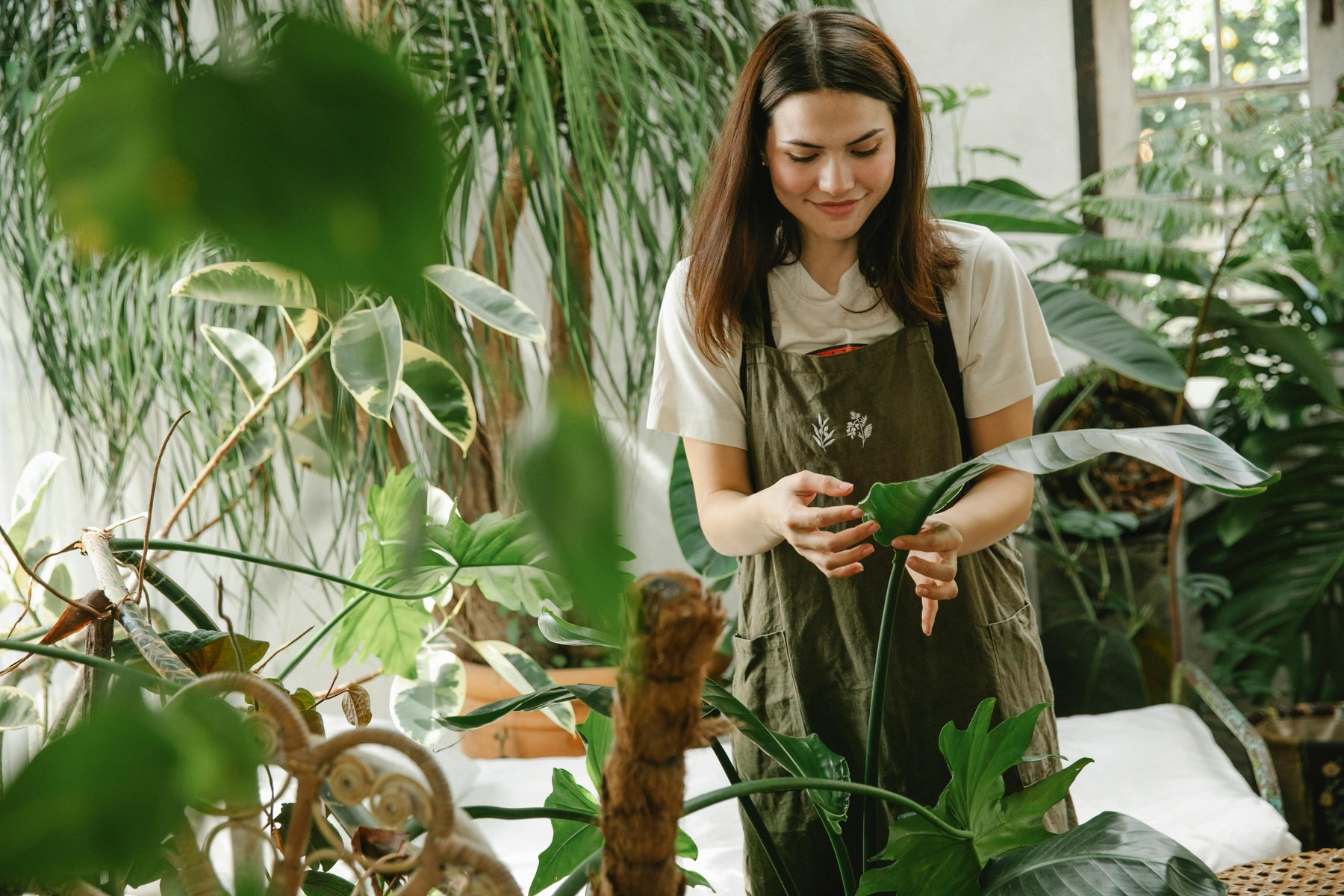 how many plants can fit in a greenhouse 