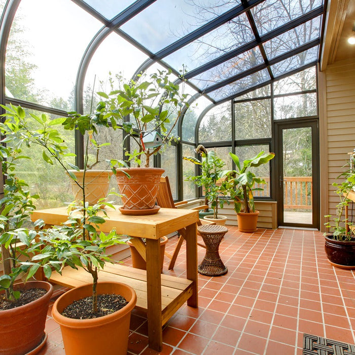 how much sun does a greenhouse need