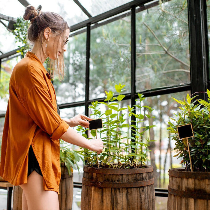 how much warmer is a greenhouse