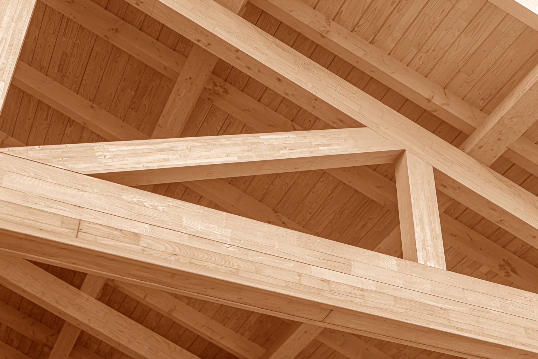 how to build rafters for a shed