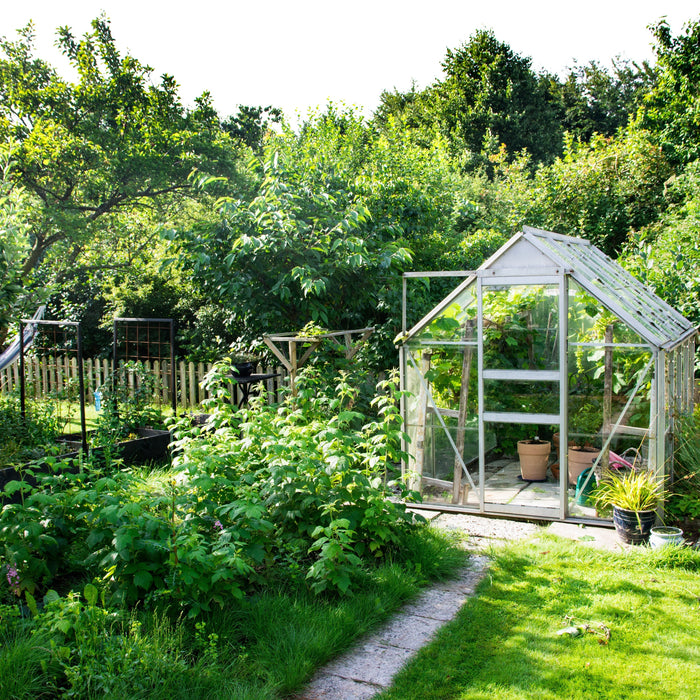 how to buy a greenhouse