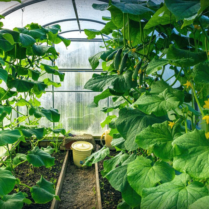 how to use a greenhouse