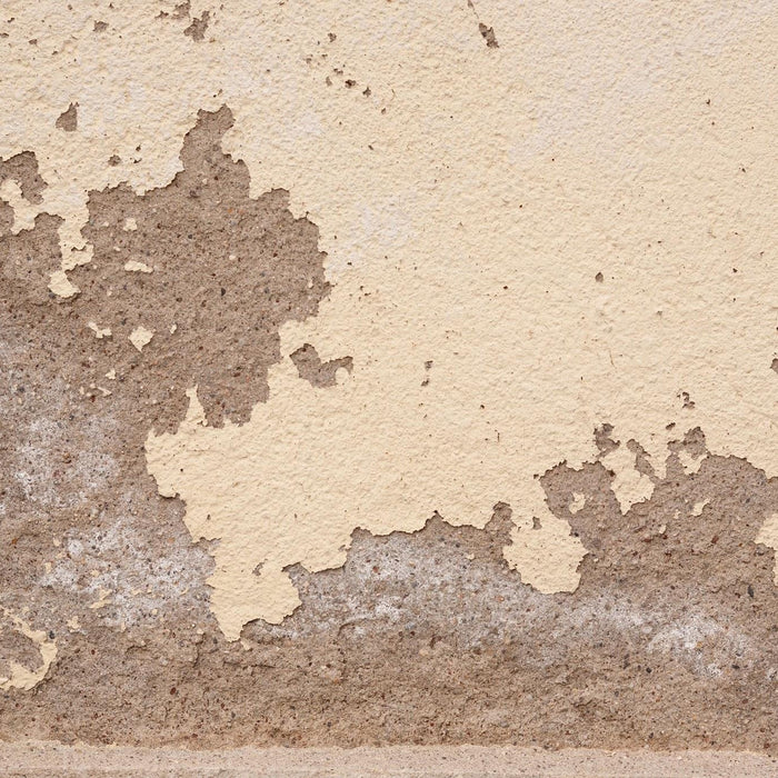 Close-up of a rough concrete foundation surface