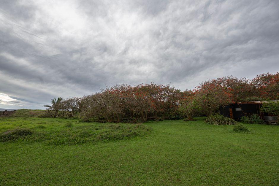 Open grassy property beneath an overcast sky