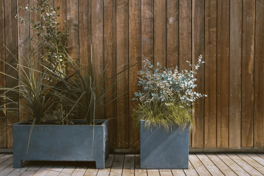 Green plants in a gray planter beside a wooden wall