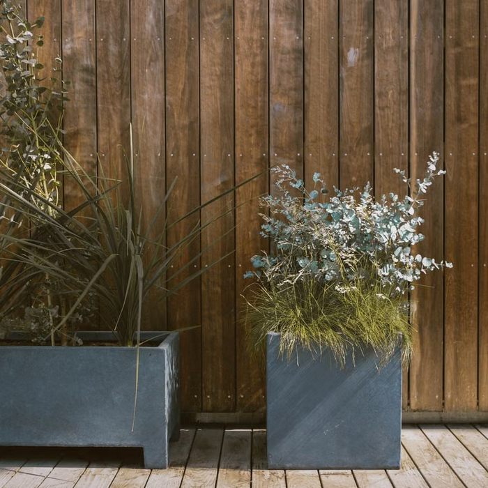 Green plants in a gray planter beside a wooden wall
