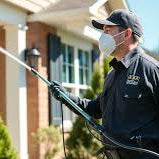 Essential Pest Control Strategies for Residential Properties