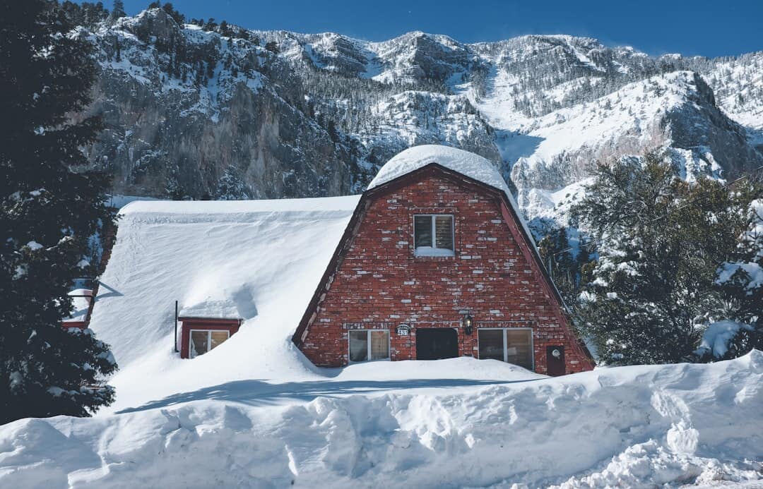Does Home Insurance Cover Sheds? What You Need to Know