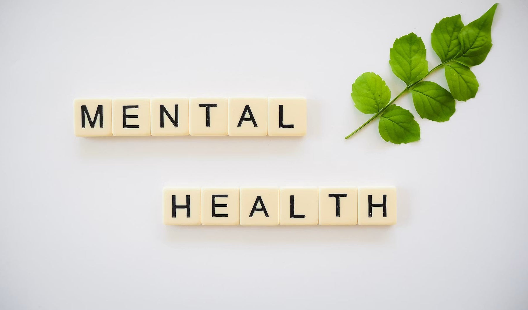 Wooden letter tiles spelling mental health beside green leaves