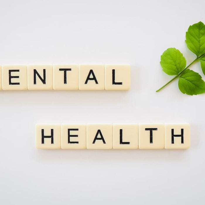 Wooden letter tiles spelling mental health beside green leaves