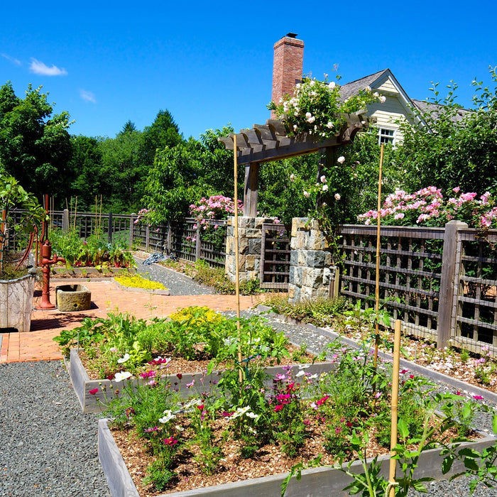 Simple Homestead Improvements That Make a Big Impact