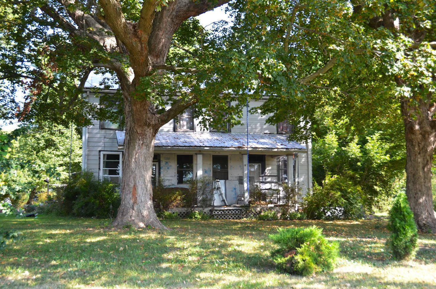 Older farmhouse shaded by a large mature tree