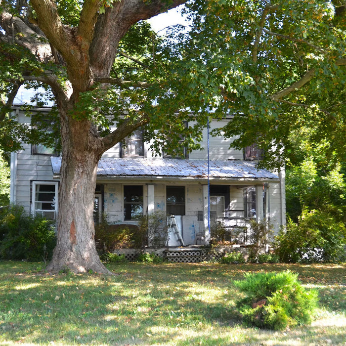 Older farmhouse shaded by a large mature tree
