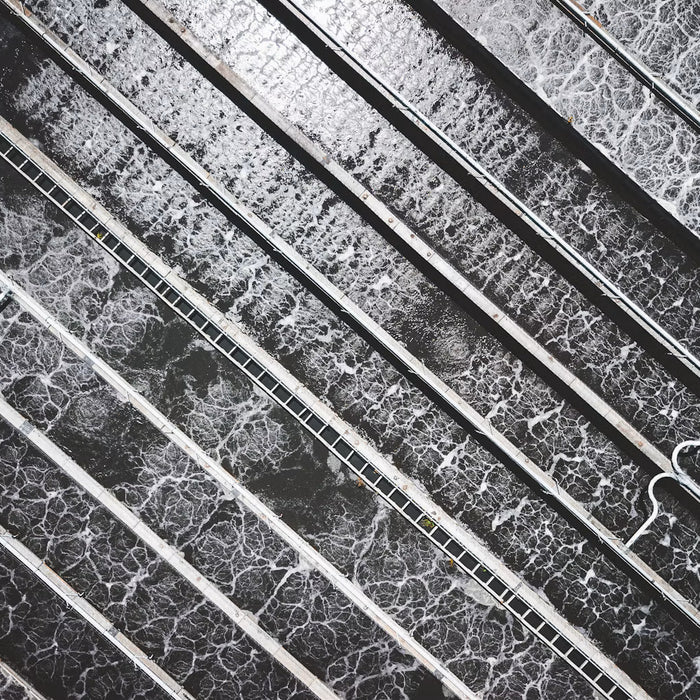 Root Intrusion in Sewer Lines: Warning Signs Homeowners Miss