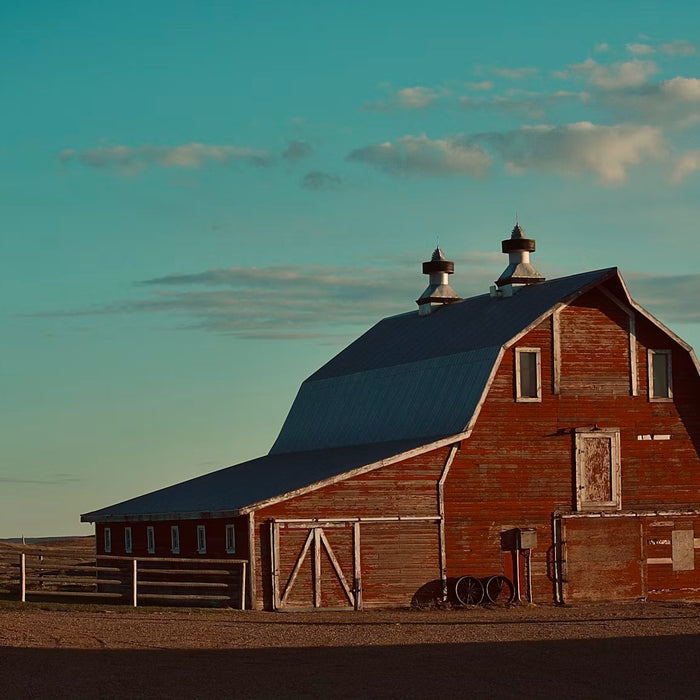 From Barn to Bunkhouse: Choosing Doors Built to Last Decades