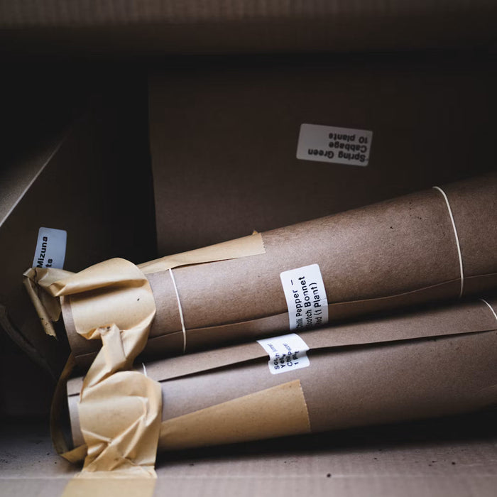 Eco-Friendly Pre-Roll Packaging: Building a Sustainable Future in Construction