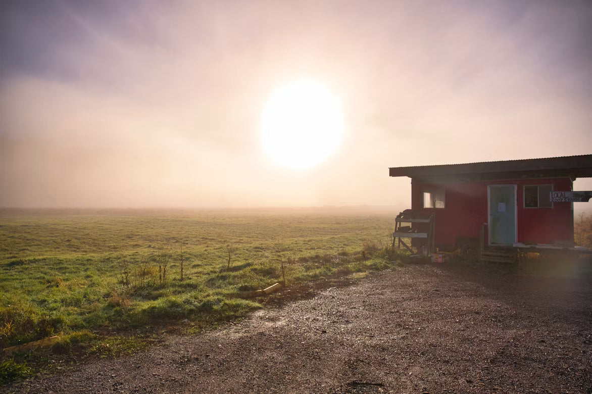 5 Signs Your Home is Losing Energy Efficiency During Hot Weather