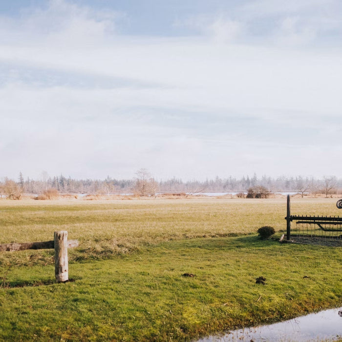 How to Build a More Reliable Water System for Your Homestead