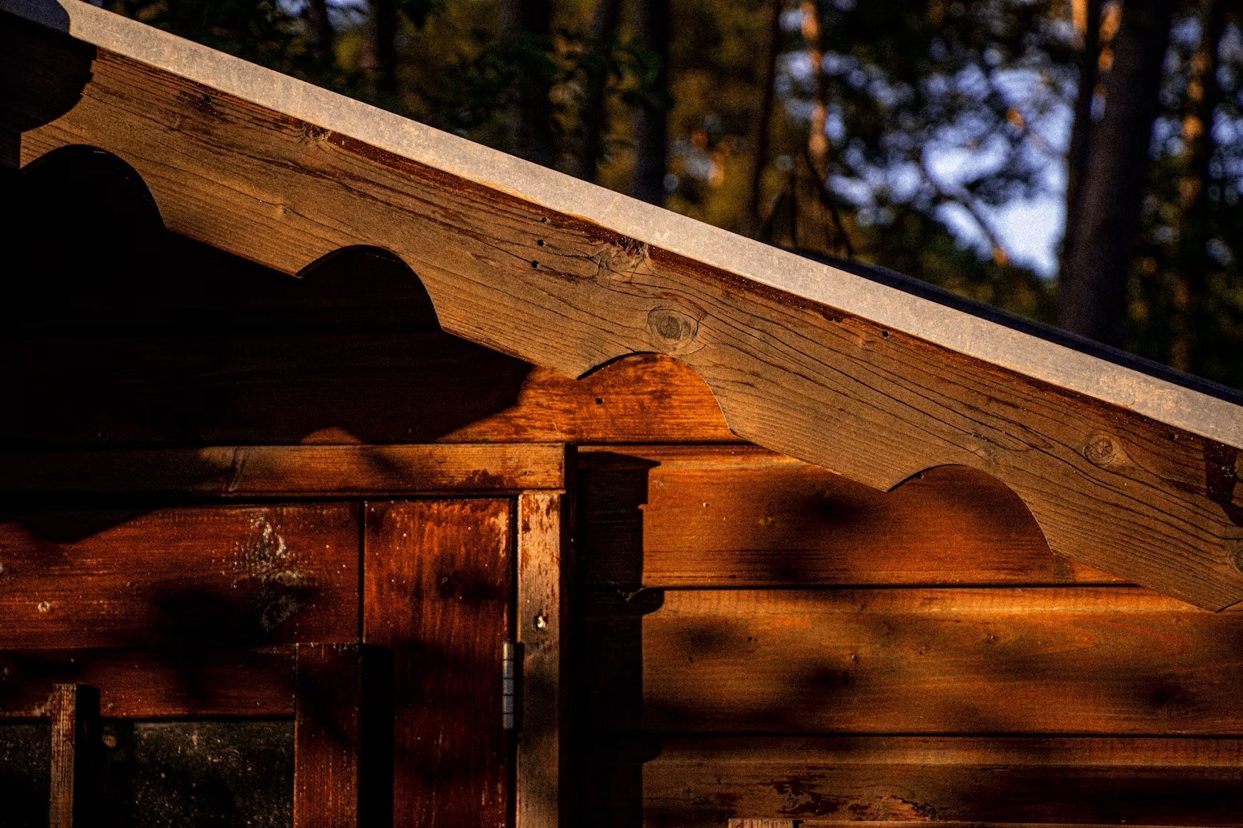 Maximizing Natural Light in Sheds, Greenhouses, and Small Backyard Spaces