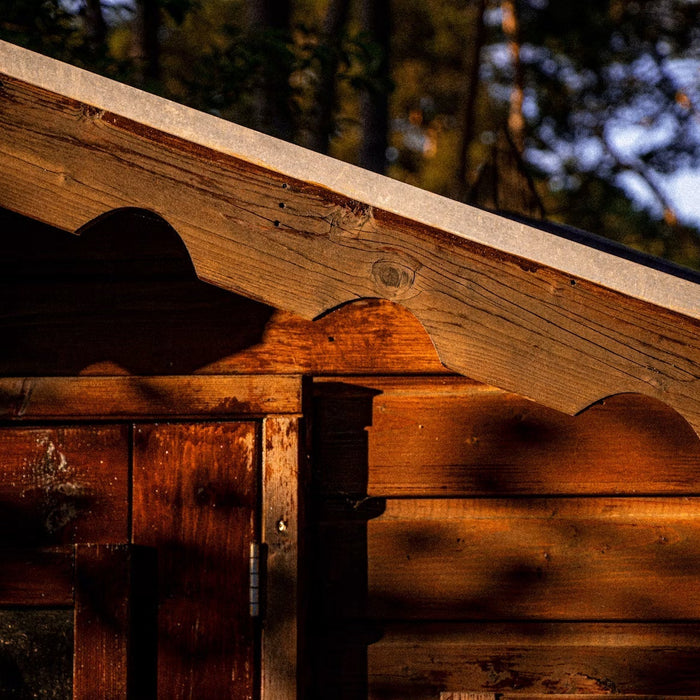 Maximizing Natural Light in Sheds, Greenhouses, and Small Backyard Spaces