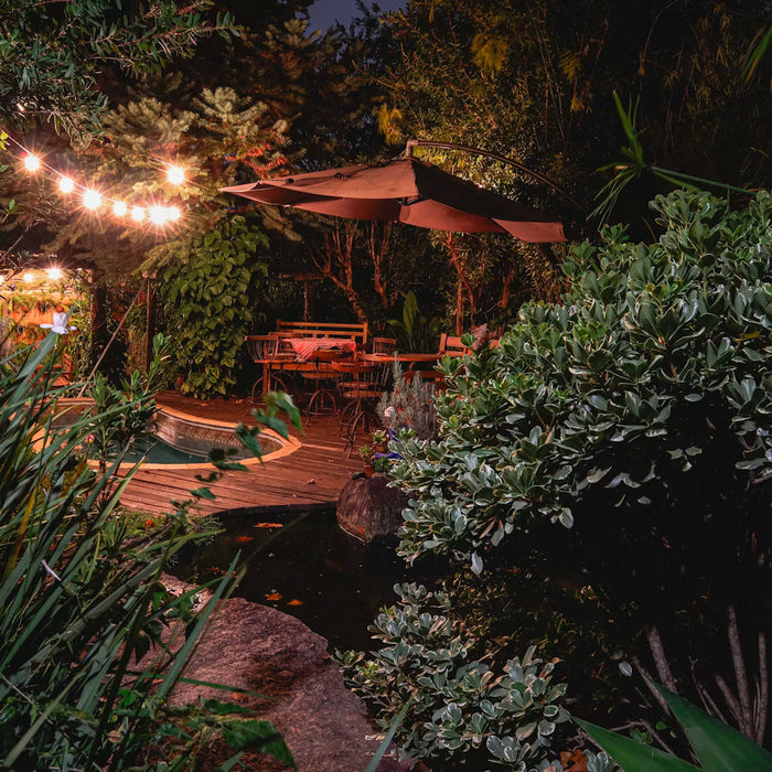 How to Host Casino Nights in Your Garden