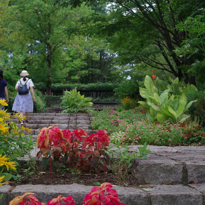 Green Thumbs in Education: Best Tips For Student-Owned Gardens