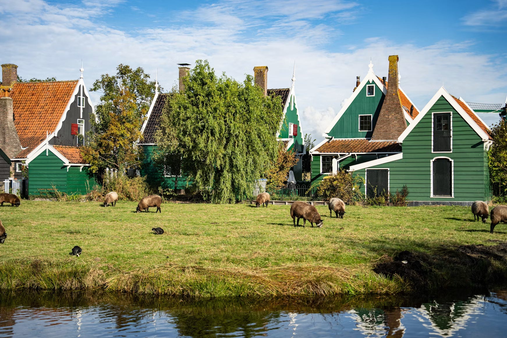 How to Turn Your Garage Into a Real Homestead Workshop