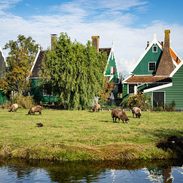 How to Turn Your Garage Into a Real Homestead Workshop