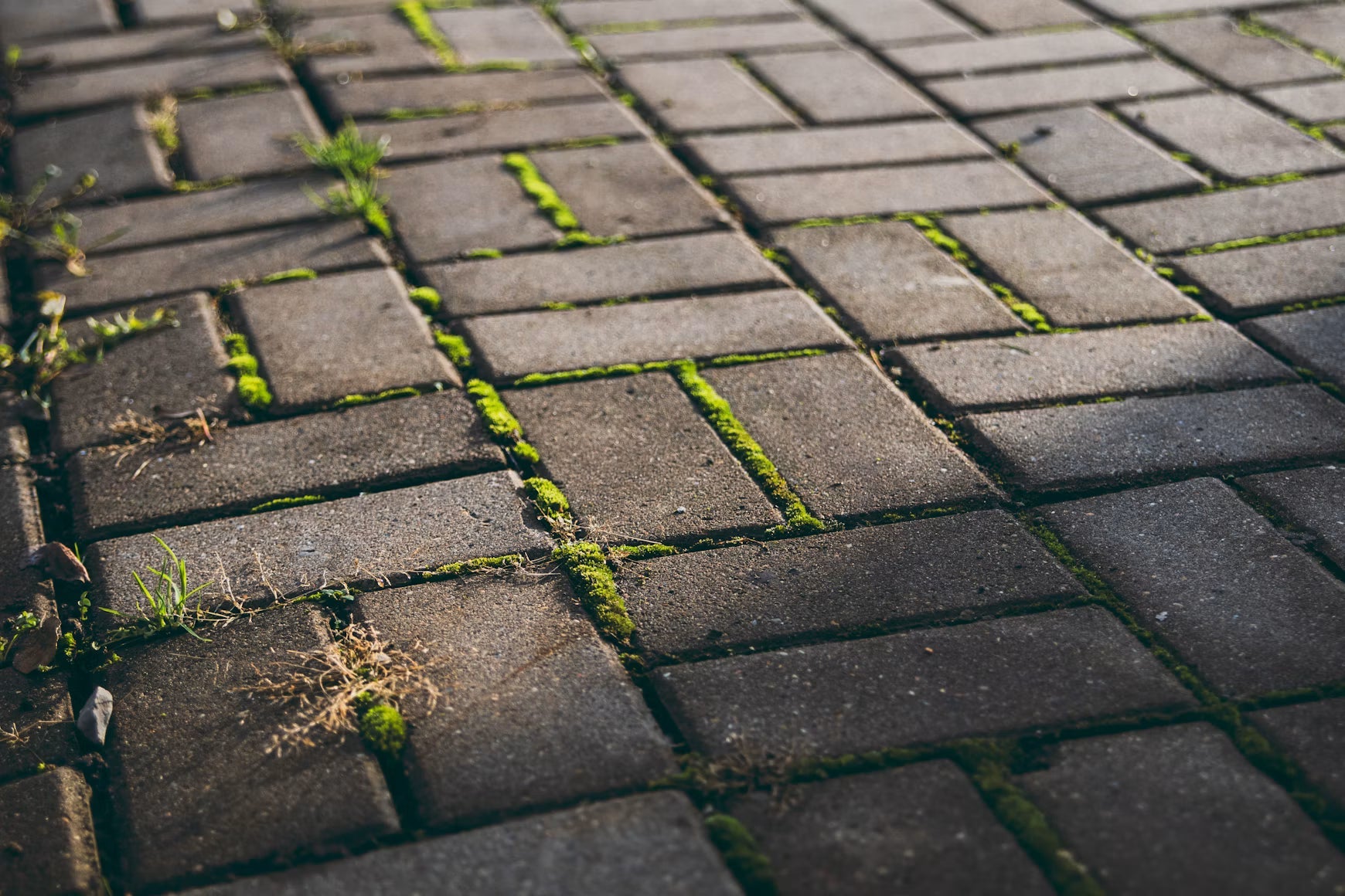 The Best Pavers in 2026