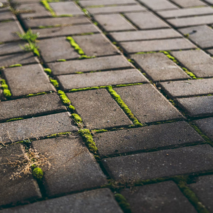 The Best Pavers in 2026