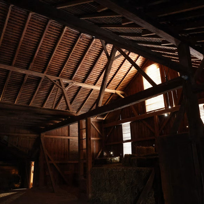 The Ultimate Toolkit for Organizing Barn Storage