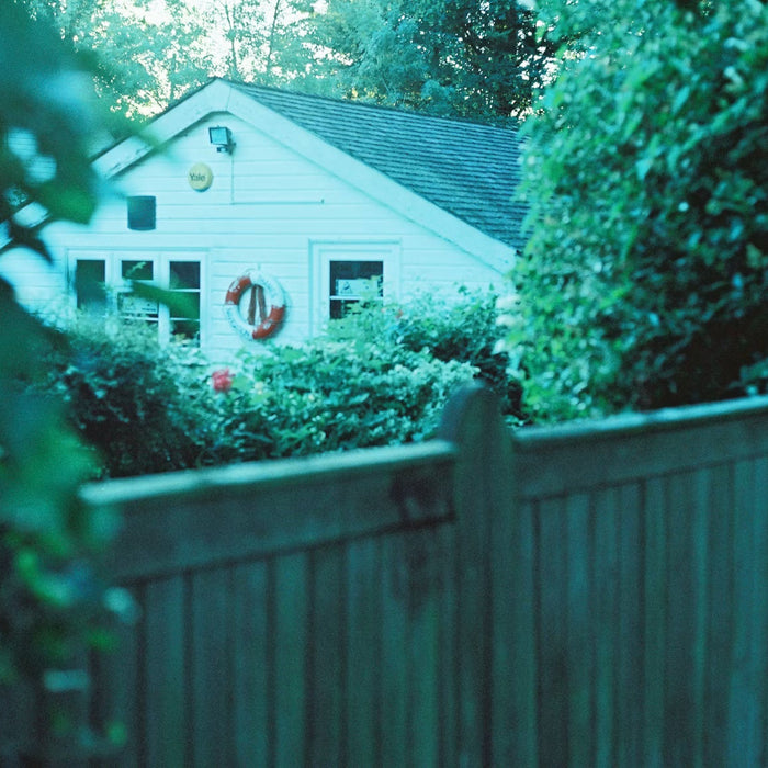 Essential Tree Care Strategies to Enhance Home Safety and Curb Appeal