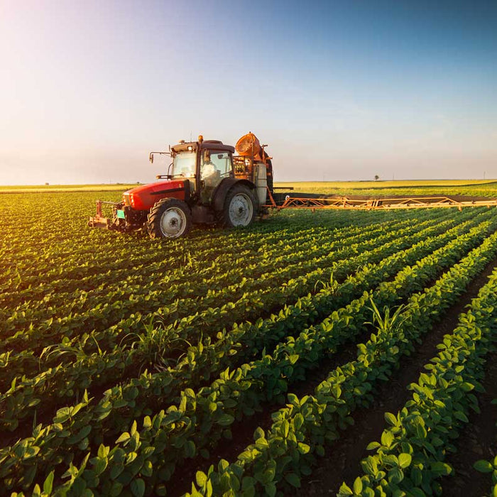 Seasonal Gardening Tips for Gardeners and Small Farmers