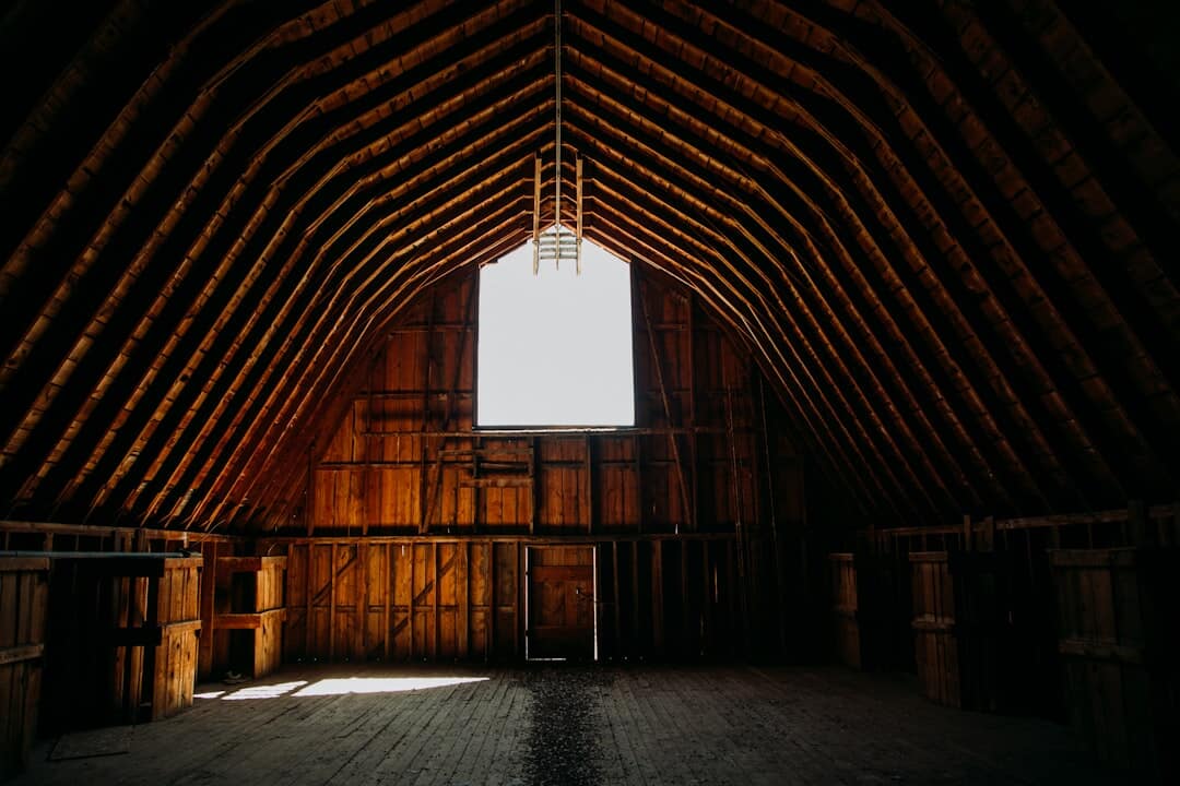 Fabric Shelter vs. Traditional Barn: Affordable Shelter or Long-Term Solution?