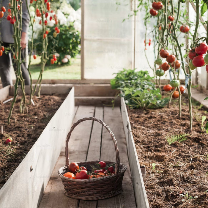 How to Choose Glass for a Backyard Greenhouse