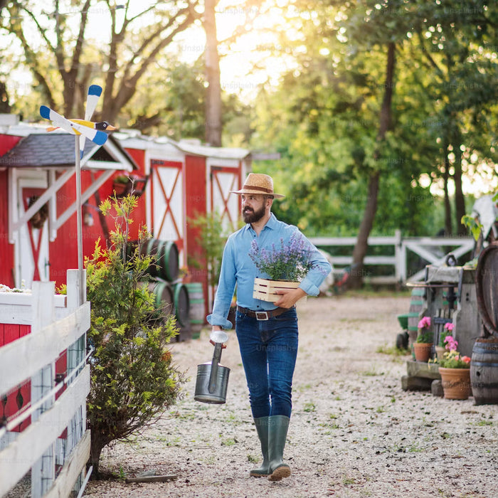 No-Nonsense Gardening Trends for the Modern, Self-Sufficient Homesteader