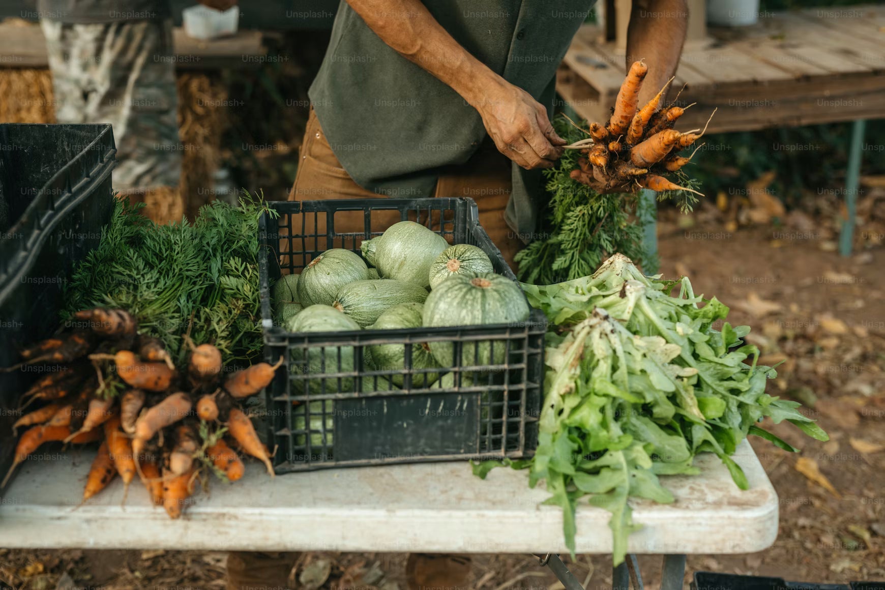 What Experienced Homesteaders Keep in Their Emergency Supply Inventory