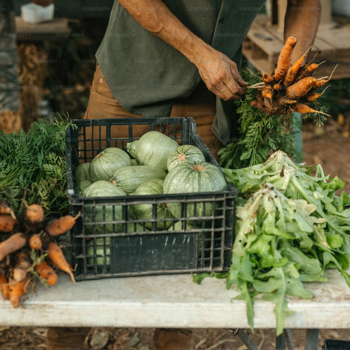 What Experienced Homesteaders Keep in Their Emergency Supply Inventory