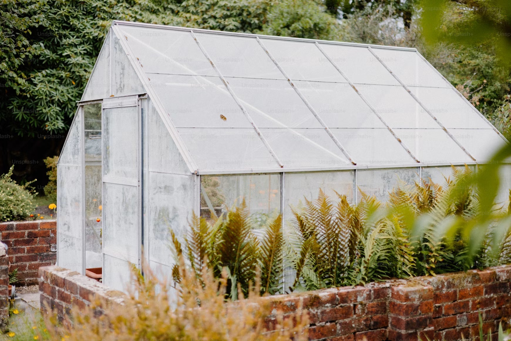 How to Maximize Sunlight in Your Backyard Greenhouse Kit